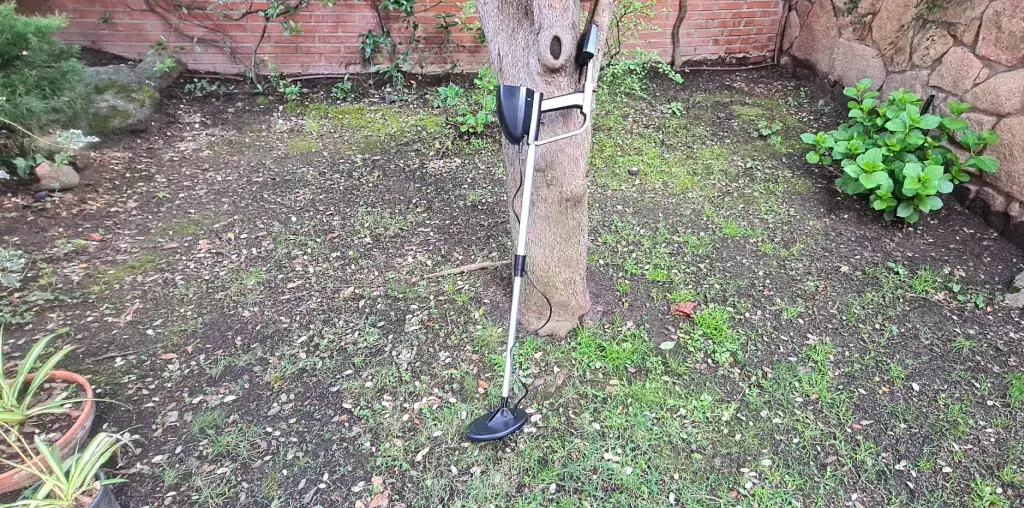 Photo of a tree